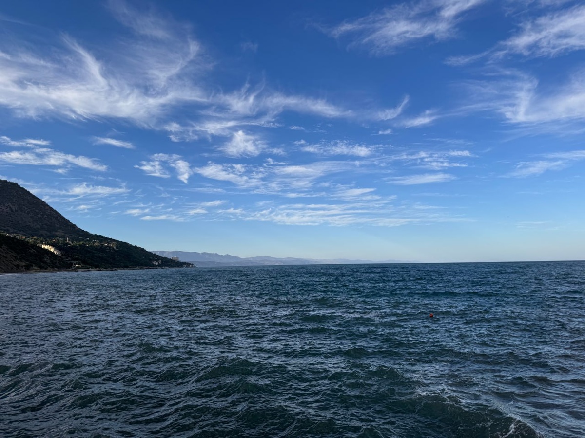    "Крым 24" Александра Понамарчук