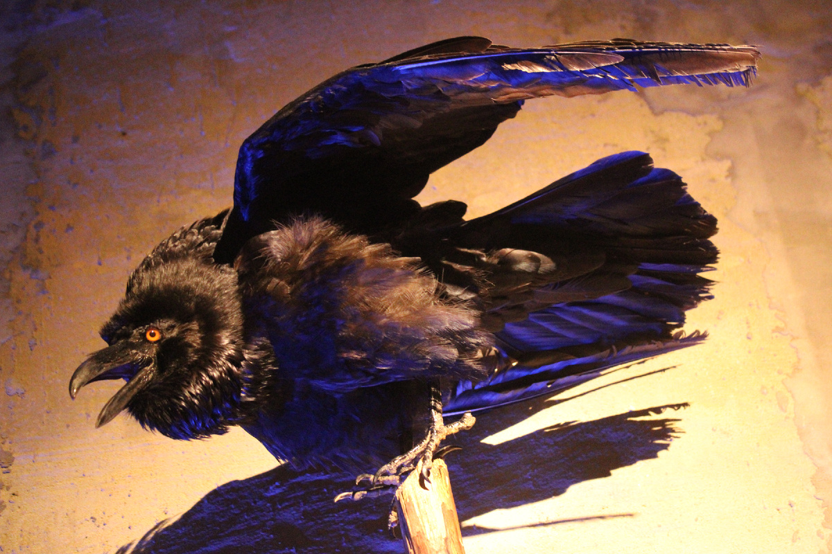 Очень реалистично!