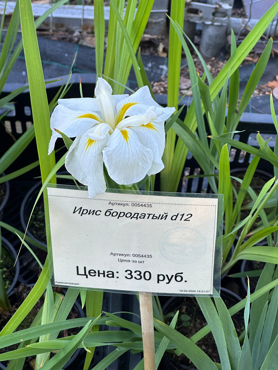 Вот не смог удержаться и не выложить язвительную фотографию из этого питомника. Кстати, все фотографии в тексте - мои.