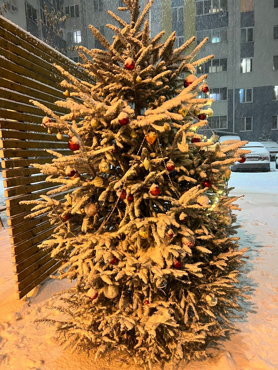 Во дворе домов, где живëт дочка