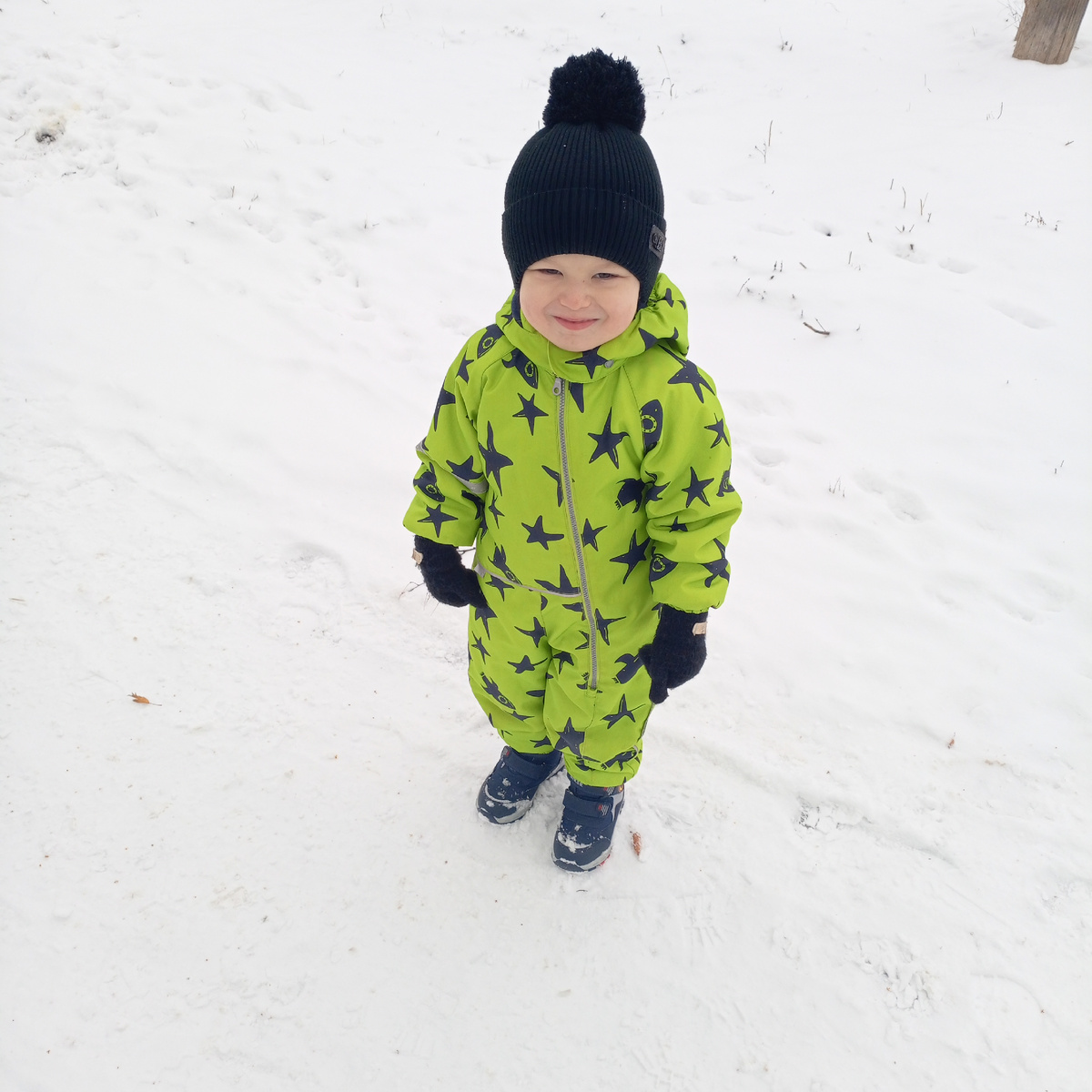 Фото сделано автором канала