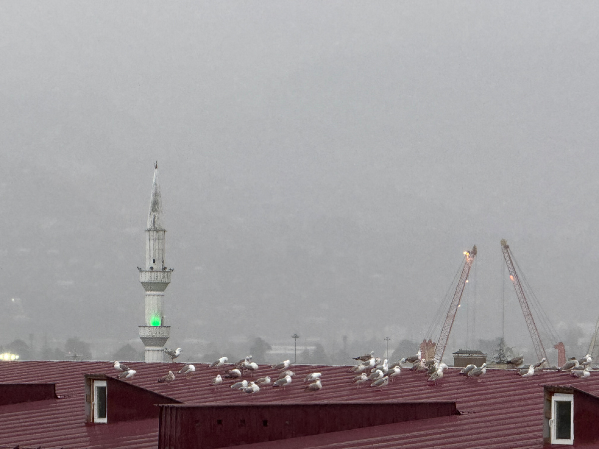 Батуми. 16.12.2024, 17:00. Фото наше.