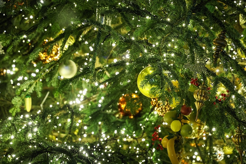 Фото: Михаил Терещенко/ТАСС