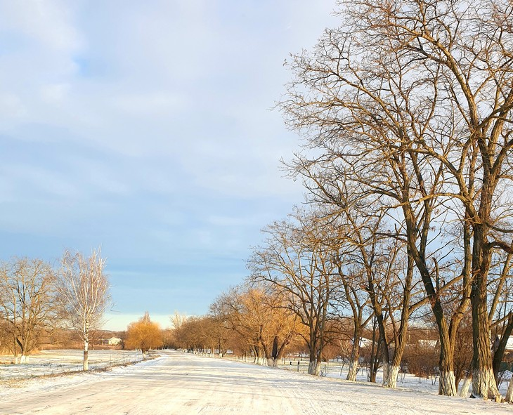 Фото "Родной стороны"
