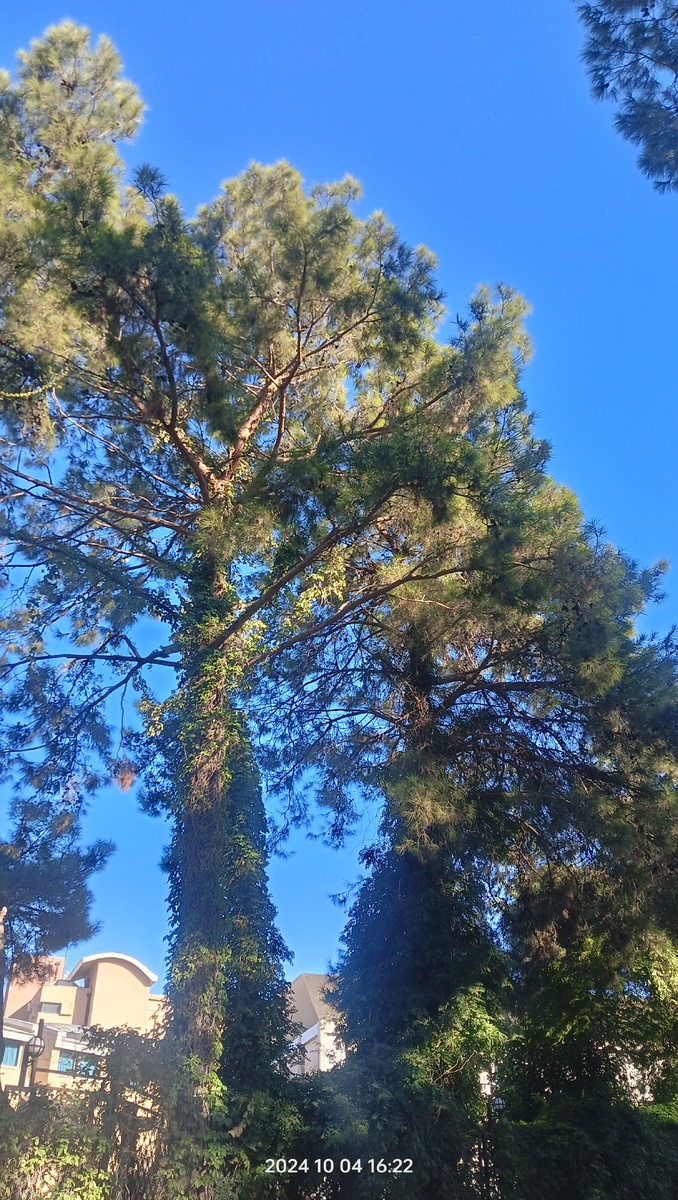 По пути любуемся красотами