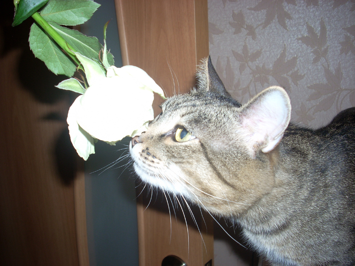 Фото автора. Вспоминает дачу