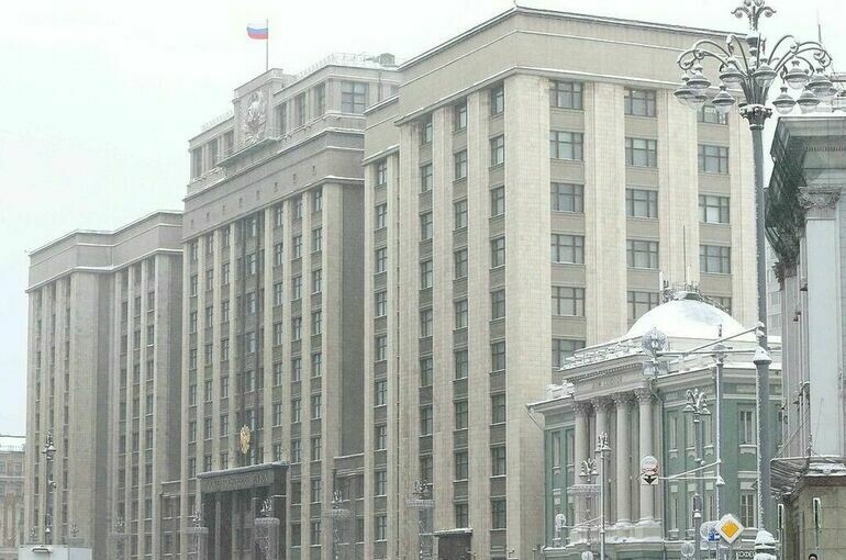   Пресс-служба Госдумы