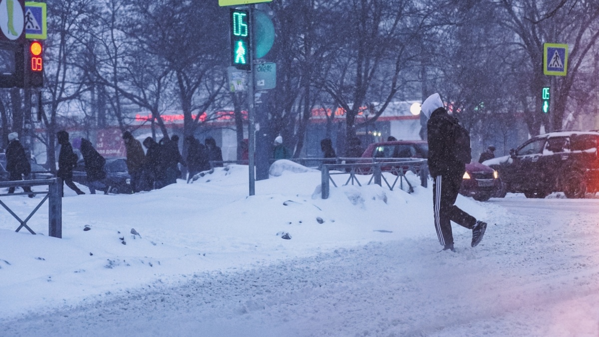 Светлана Мулыкина📷
