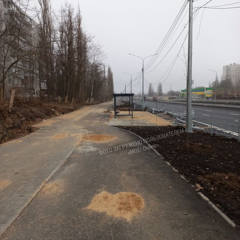    Фото: читатель «МОЁ!»