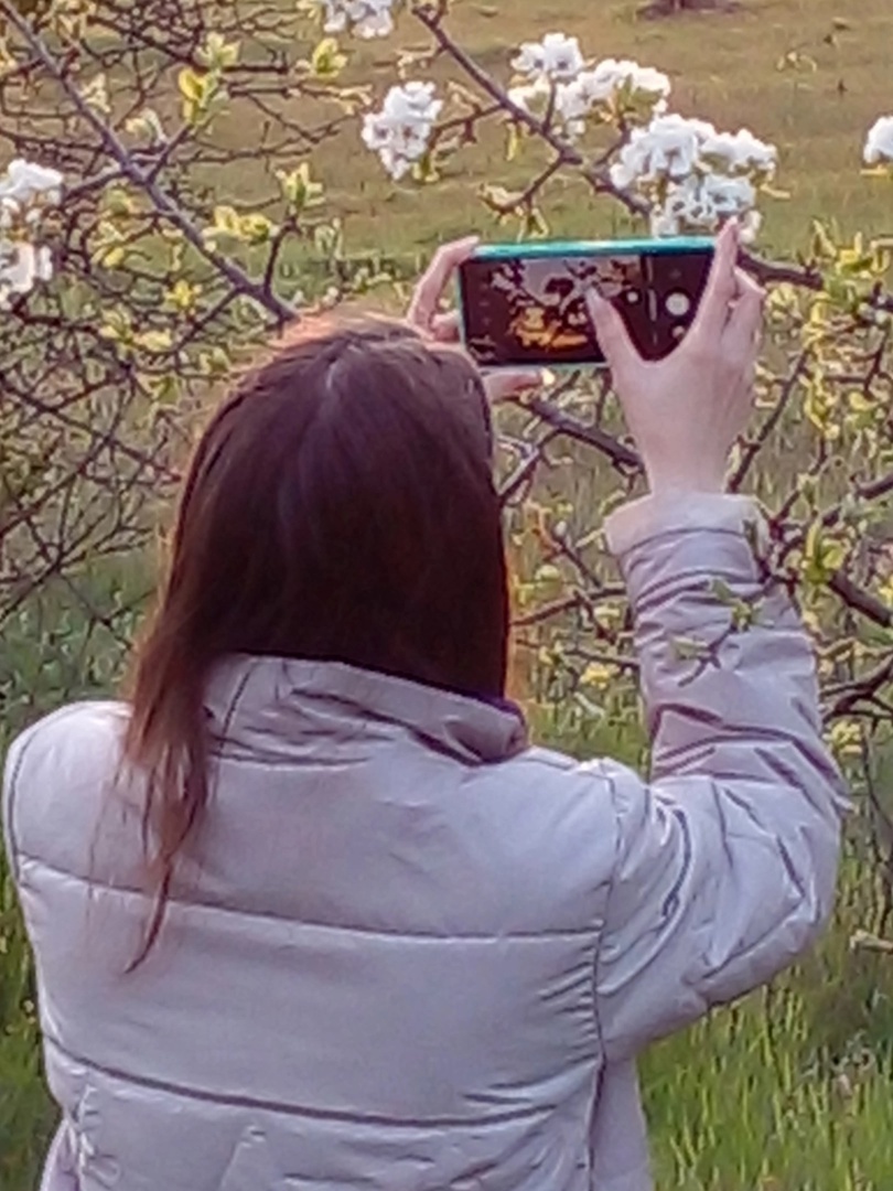 Ориби Каммпирр - писатель, художник, косплеер, фотограф © Copyright: Ориби Каммпирр