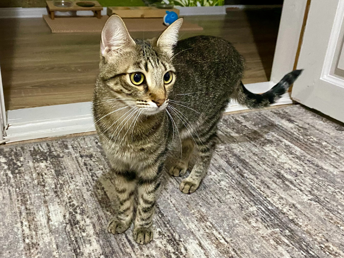 Это я! Собственной персоной