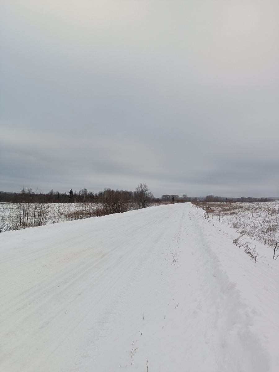 Сельская дорога