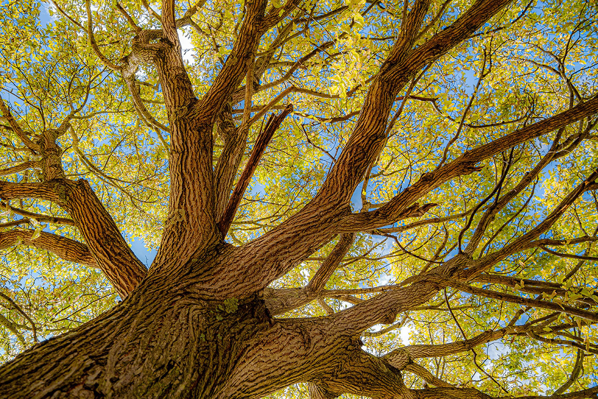    Снимок носит иллюстративный характер. Фото: Charlestondavid / Shutterstock.com