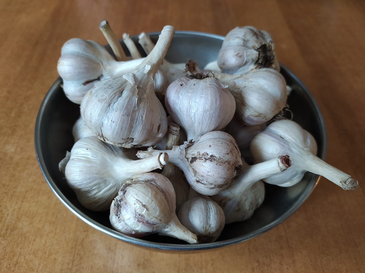 Это малая толика моего чеснока. Остальной в большом тазу