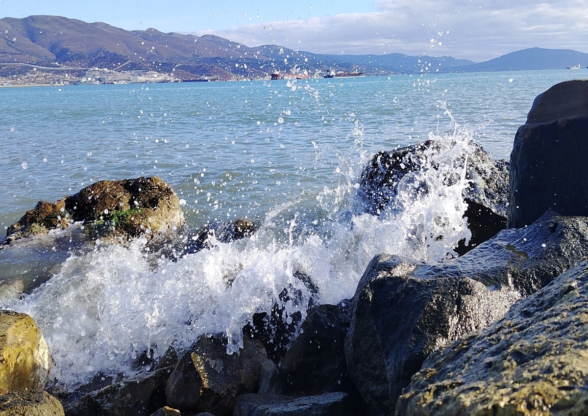    В экосистеме Керченского пролива могут произойти фундаментальные изменения
