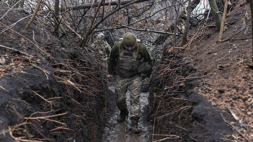   Gettyimages.ru Diego Herrera Carcedo / Anadolu