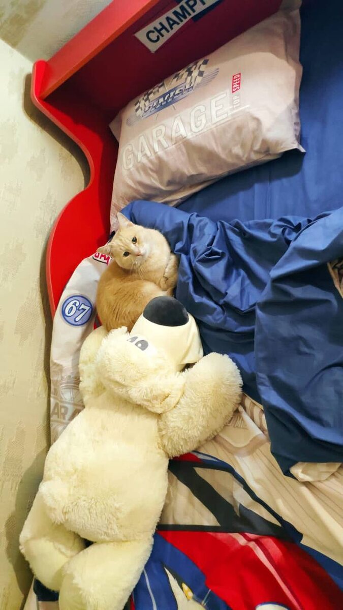 Постель готова к приёму и жители дома тоже ждут 