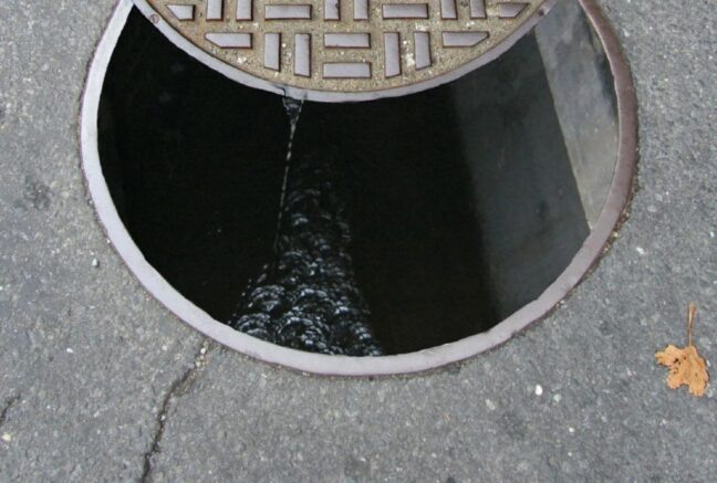    Фото: Wikimedia Commons