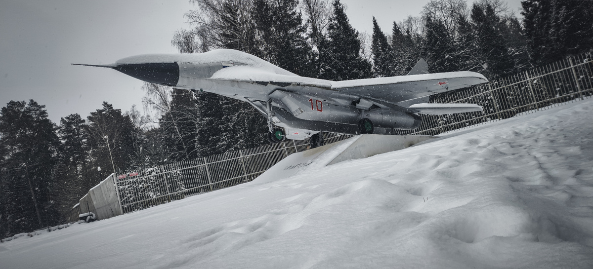 В снегу смотрится эффектно