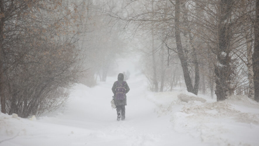    Фото: KazanFirst