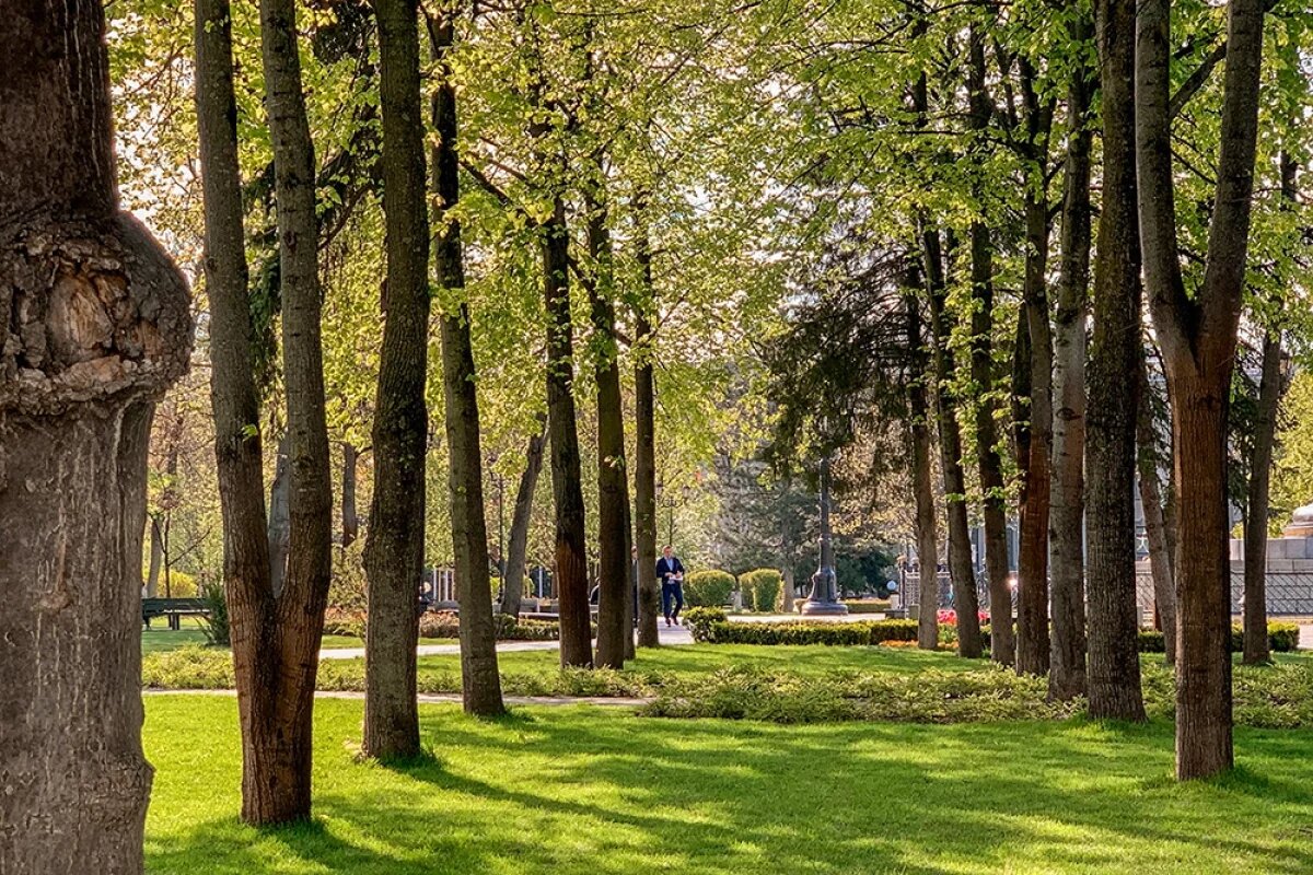    То, что нужно людям.