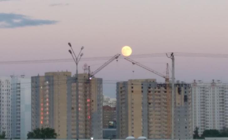    фото Курские известия