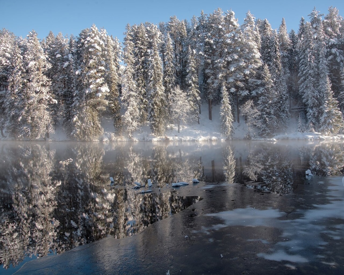 Фотографии Евгения Корепанова. Источник: https://dzen.ru/b/Z1F8L2VShg_UMYkW