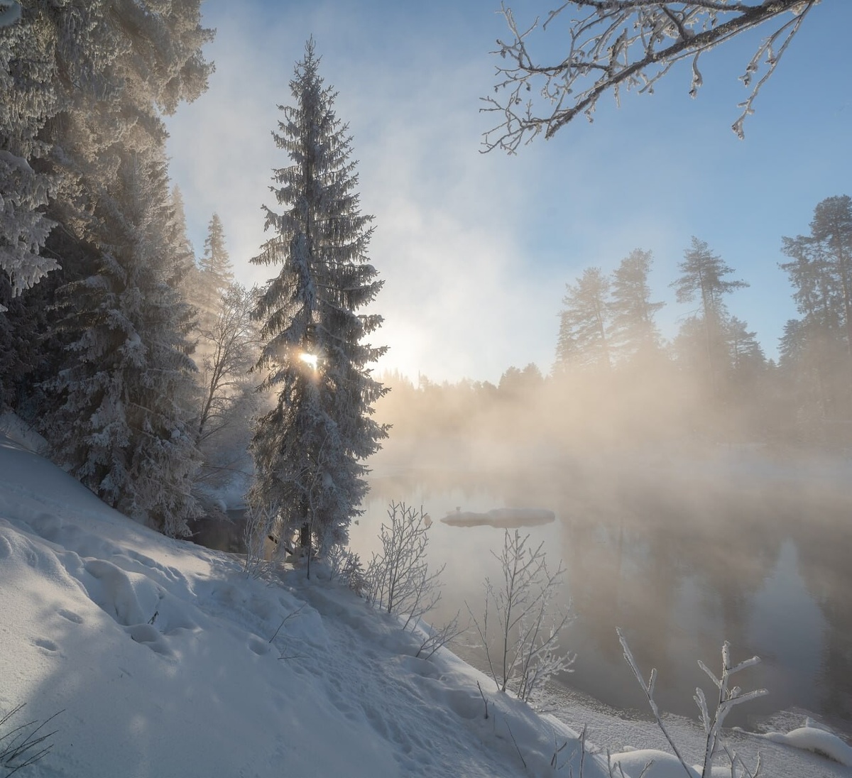 Фотографии Евгения Корепанова. Источник: https://dzen.ru/b/Z1F8L2VShg_UMYkW