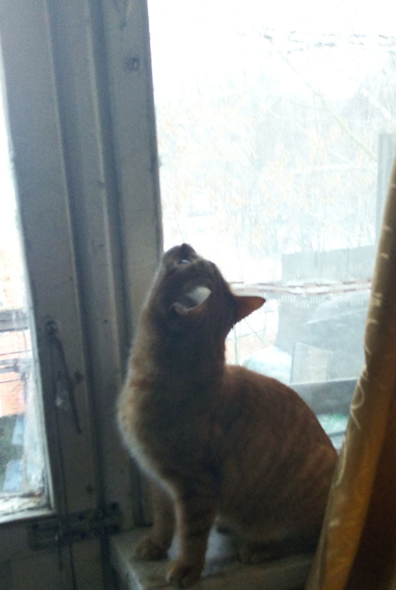 Личное фото