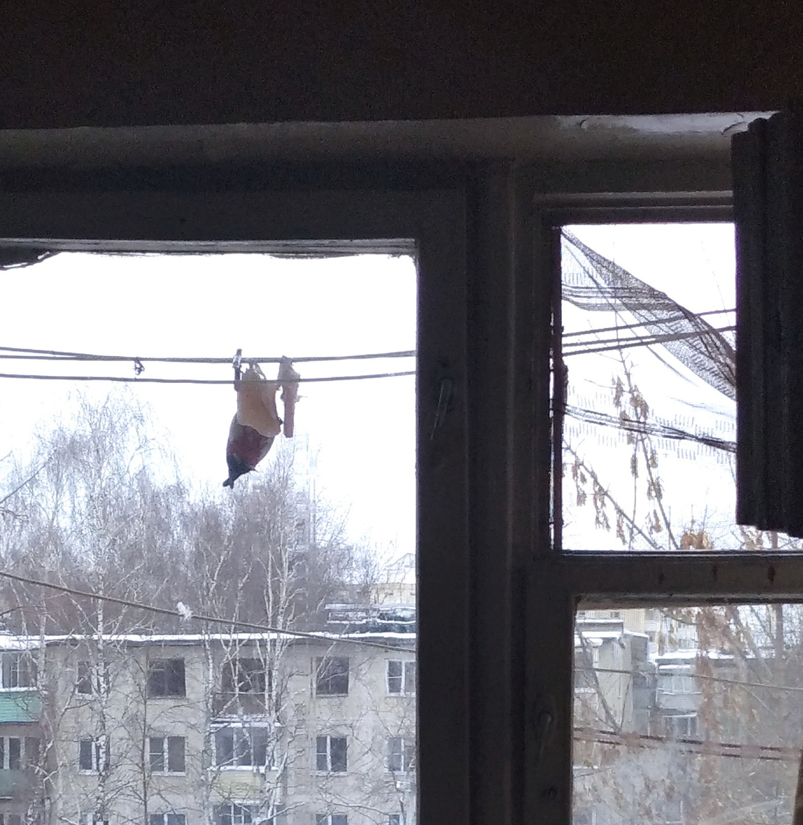 Личное фото