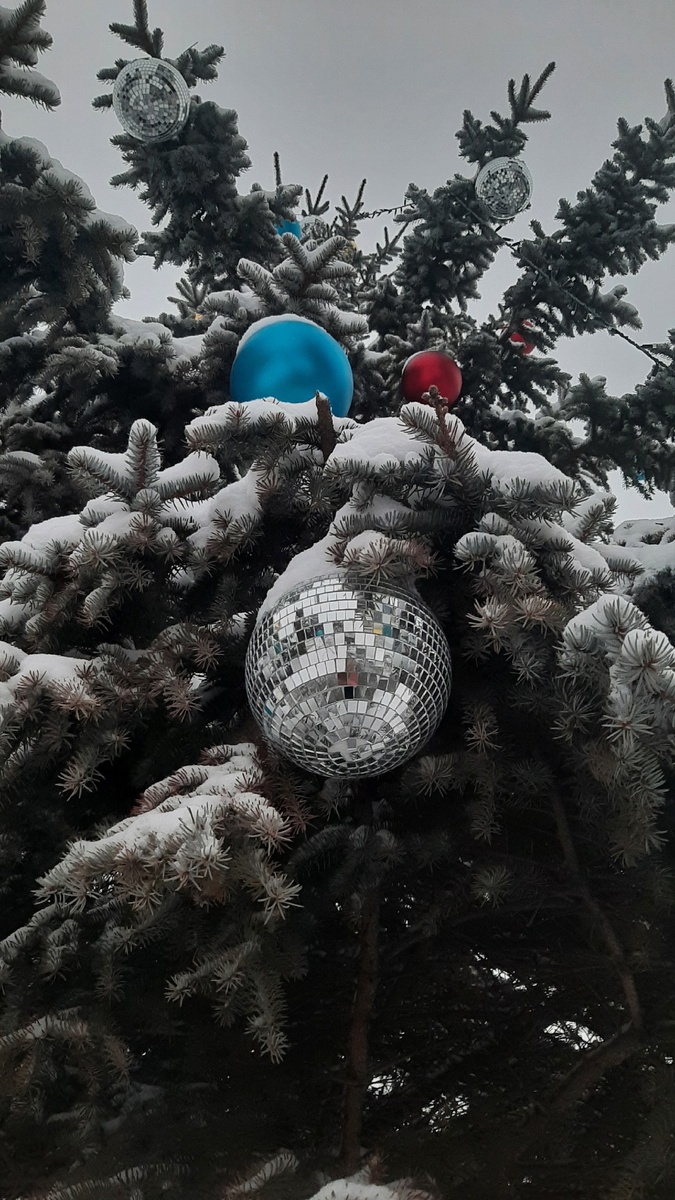 Елки возле завода