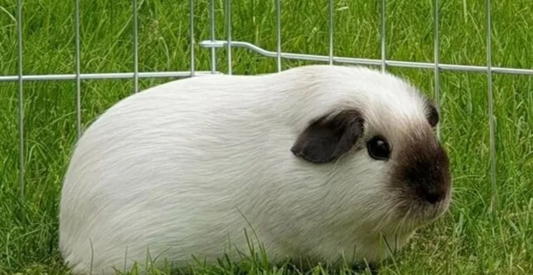 Калифорния