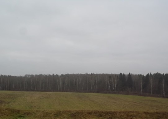 Фотография автора