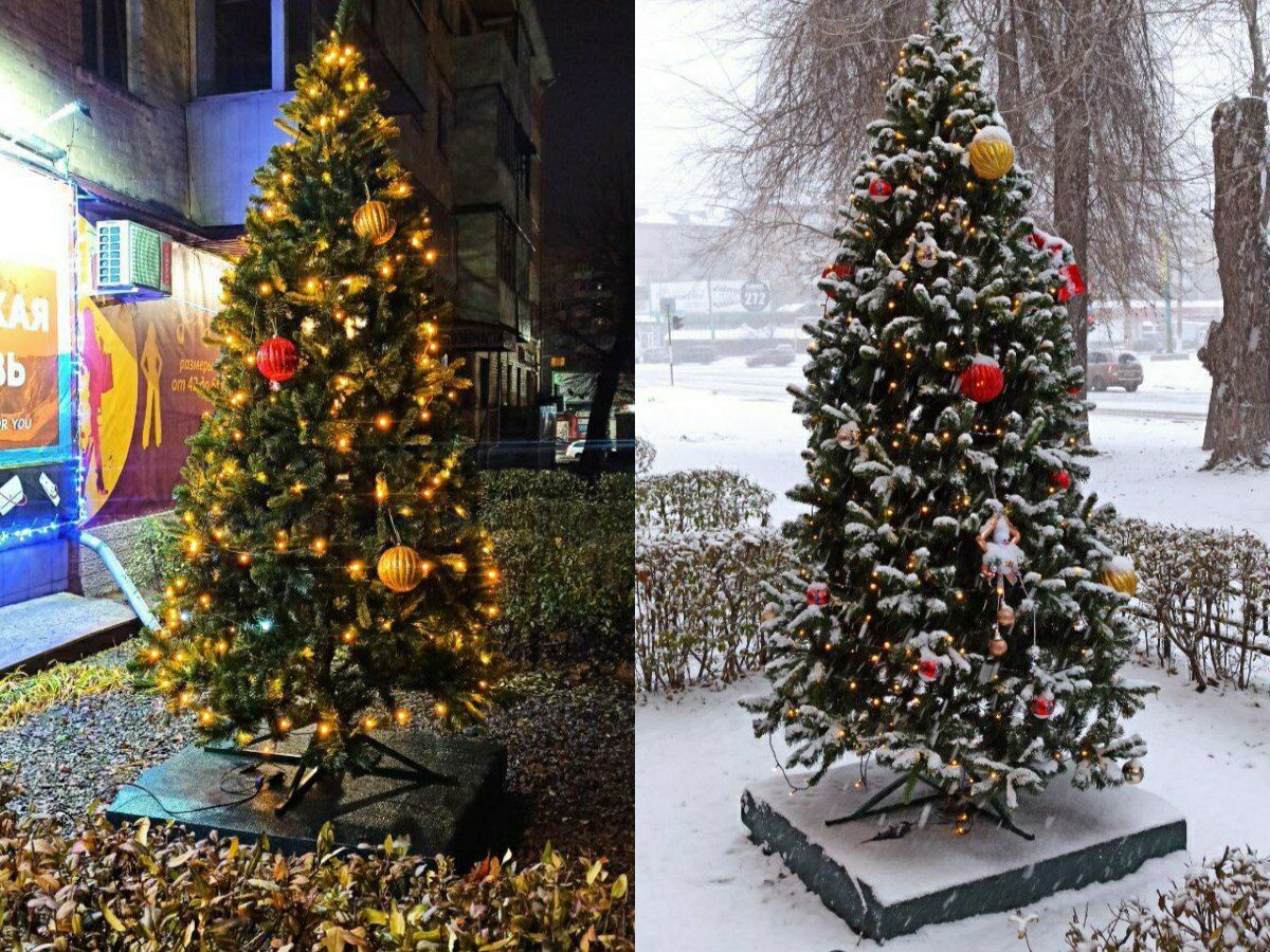 Фото ёлки до похищения: соцсети