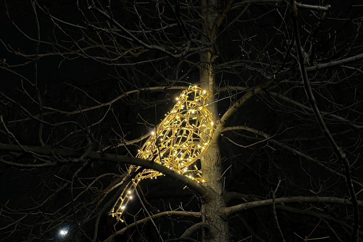 Фото Дарьи Черемухиной, «Кубань 24»