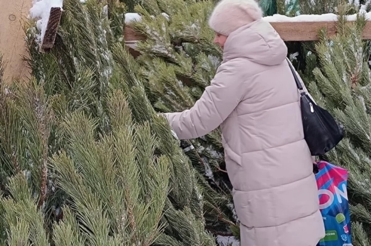    Дорого-зелено.