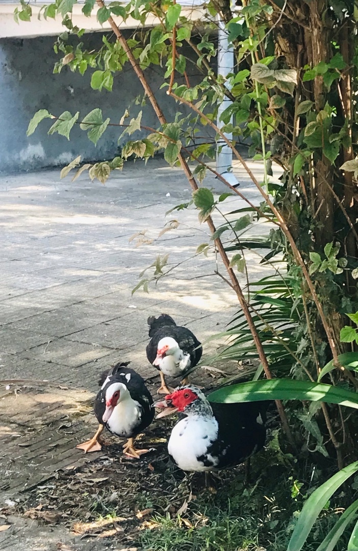 Пансионат Айтар. Фото автора.