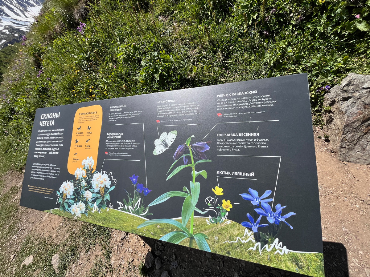 А это тот самый щит с описание флоры и фауны, до которого мы доехали на авто.