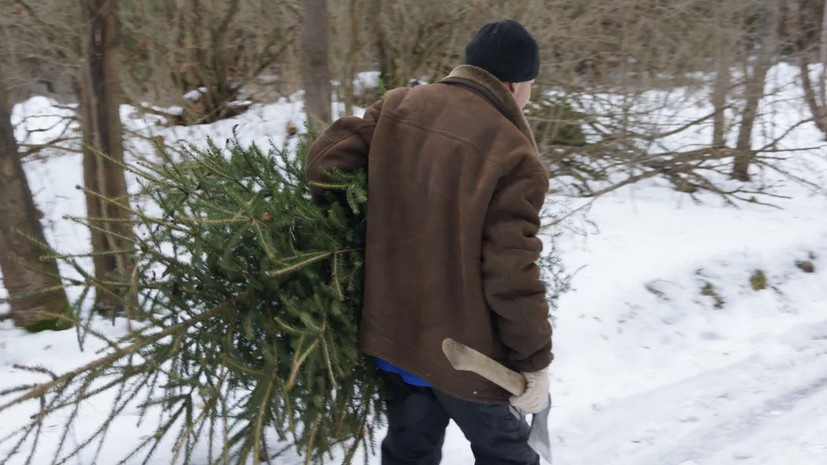    Пресс-служба Комлесхоза МО
