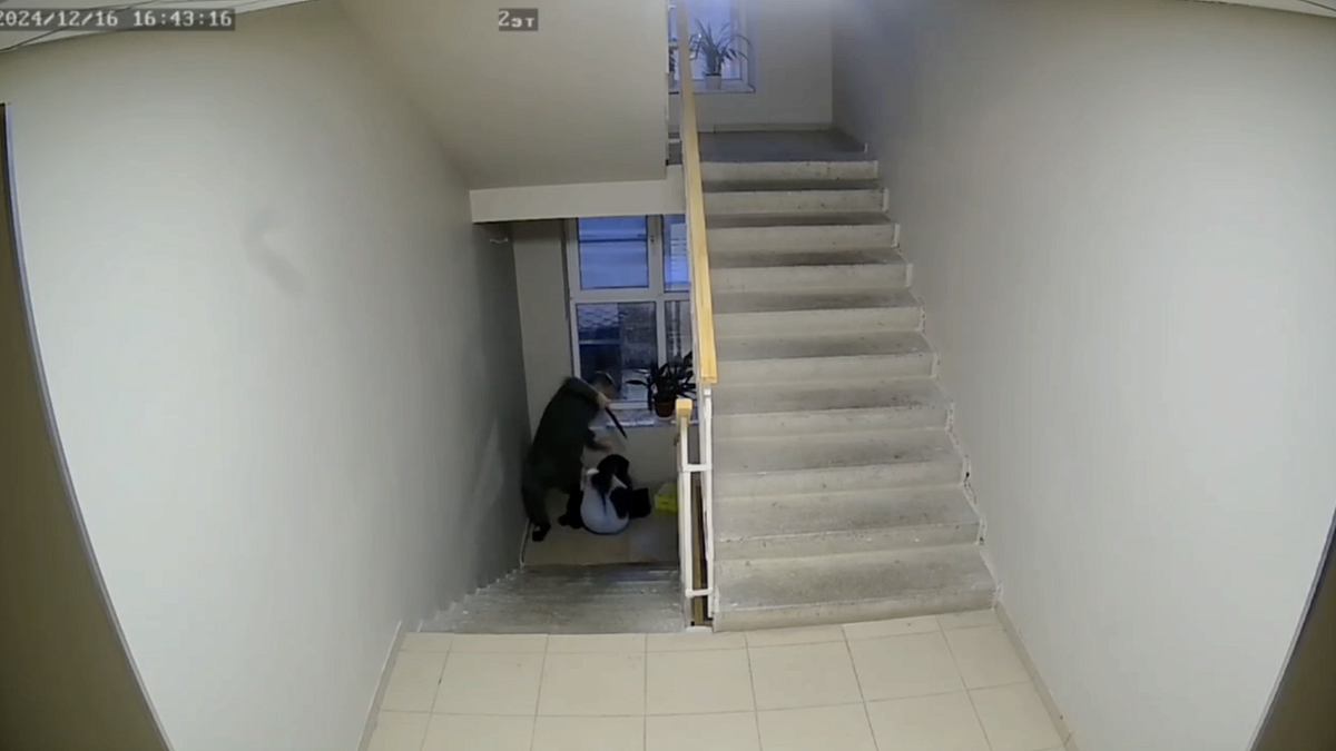    Фото: t.me/news161ru