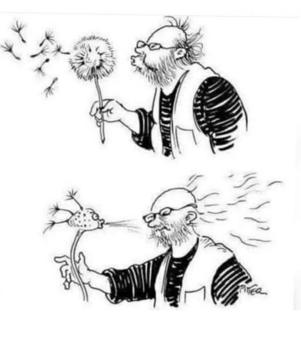 Картинка из интернета.