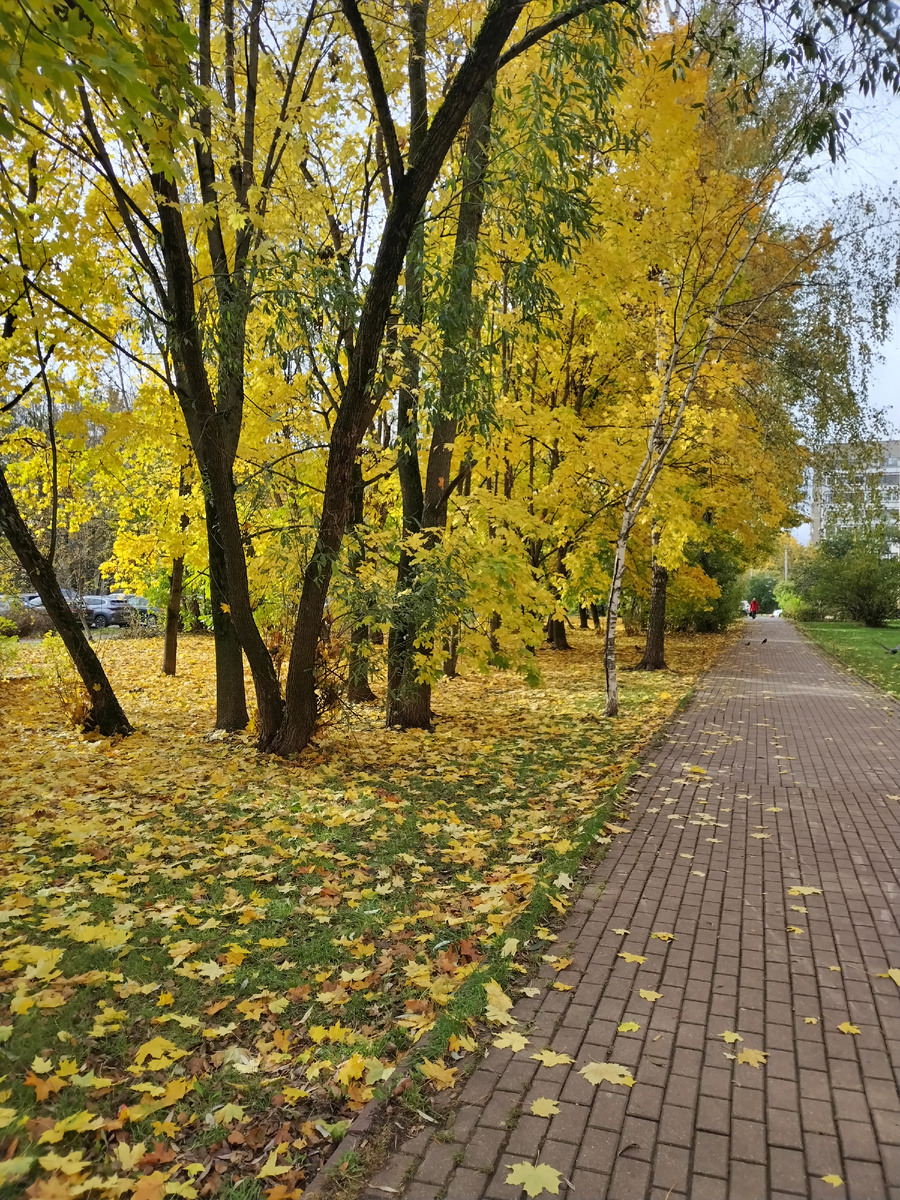 Осенний сквер.