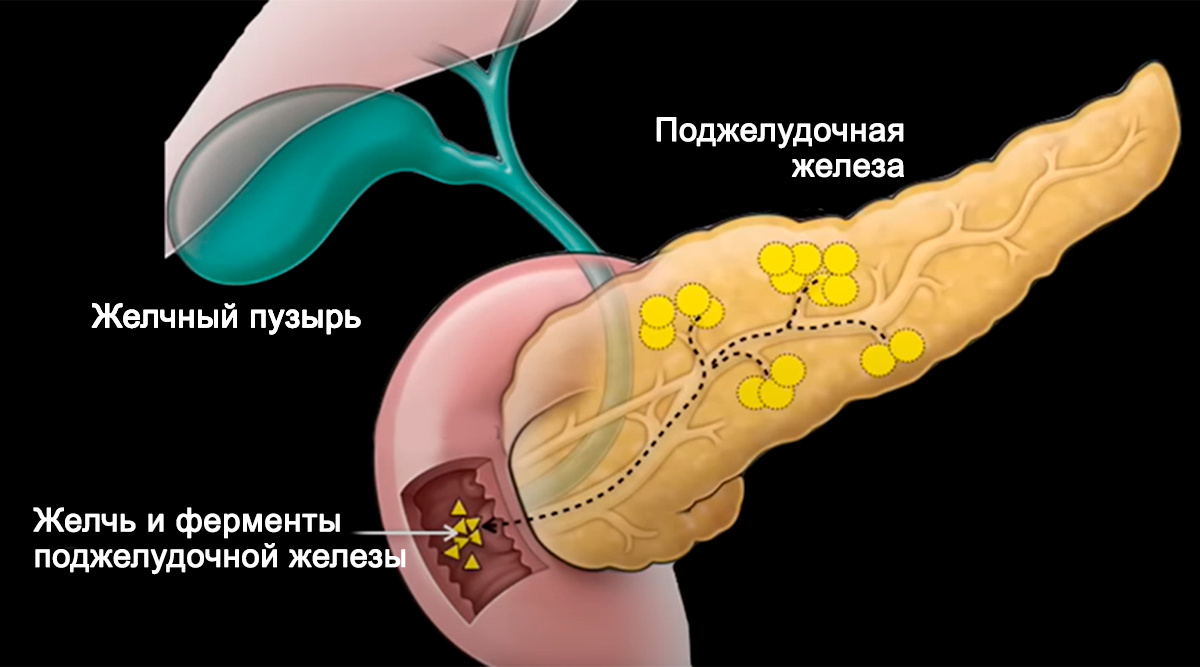 Сфинктер Одди