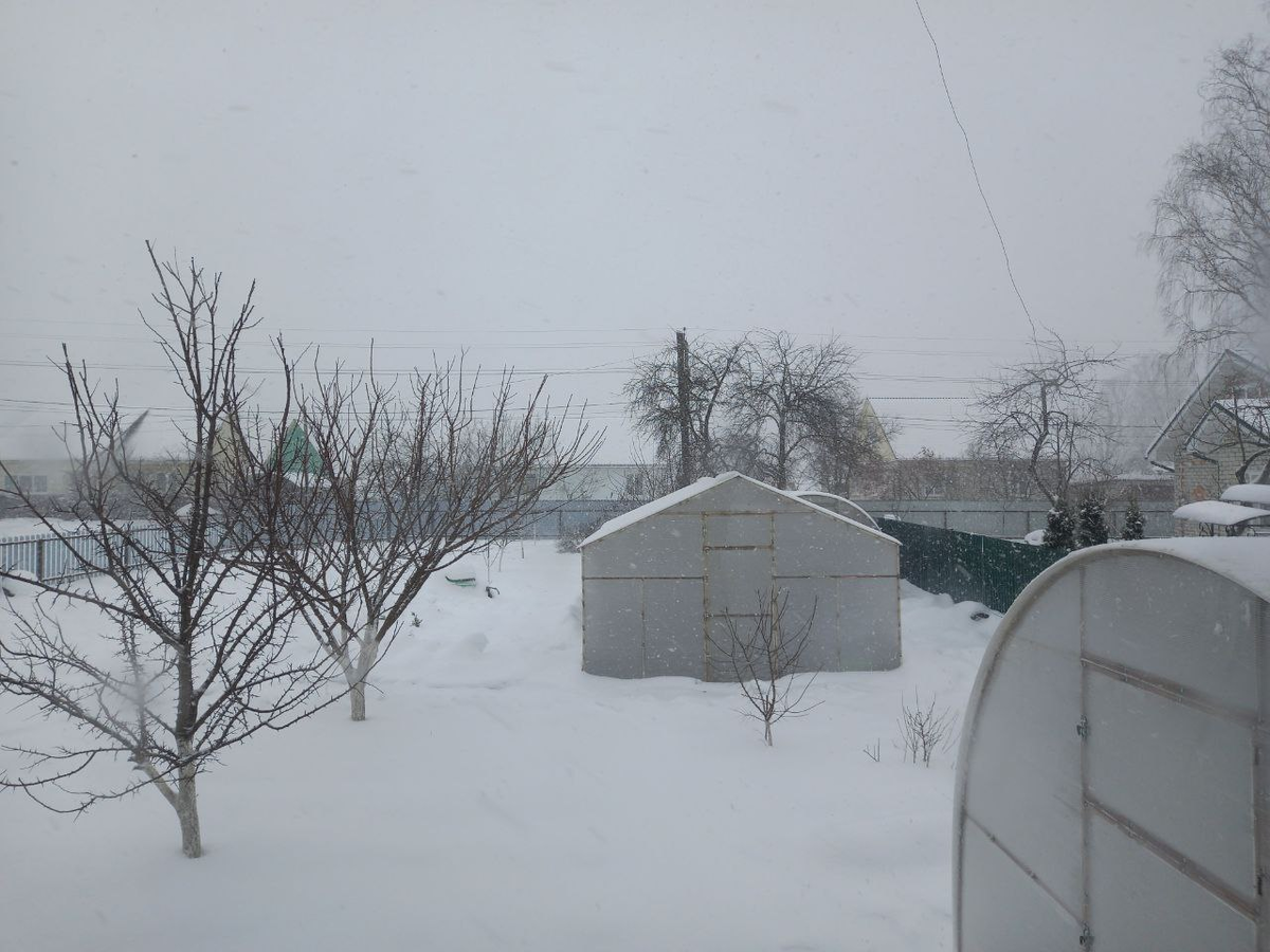 Снимок из окна. На улице метёт. Ветер.