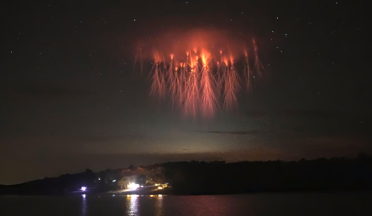 Спрайты в форме медузы. Фото: Paul Smith