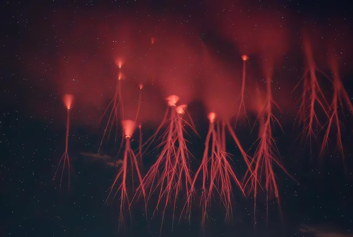 Красные спрайты в форме корней морковки. Фото: Nicolas Escurat