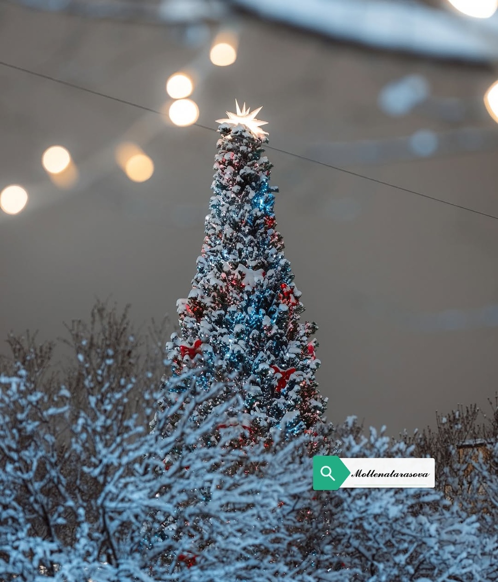 Здесь можно увидеть красивую рождественскую елку, праздничные огни и различные аттракционы. 