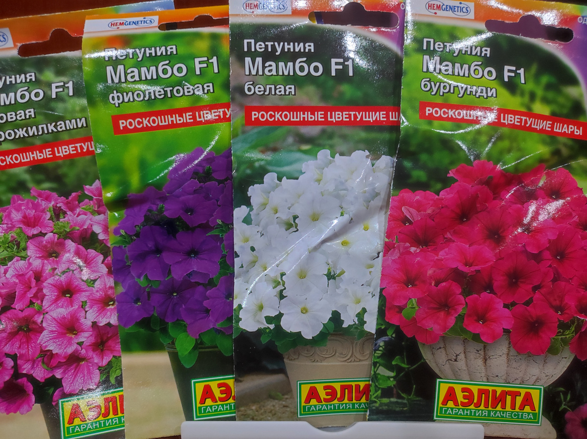 Фото автора, семена петунии Мамбо F1 от агрофирмы Аэлита, декабрь 2024 года