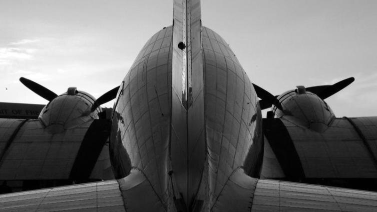     Фото: Paul Quinn, по лицензии shutterstock.com