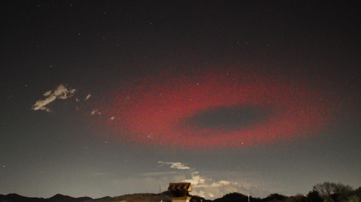 Эльф, пойманный над Италией в 2017 году. Фото: Valter Binotto